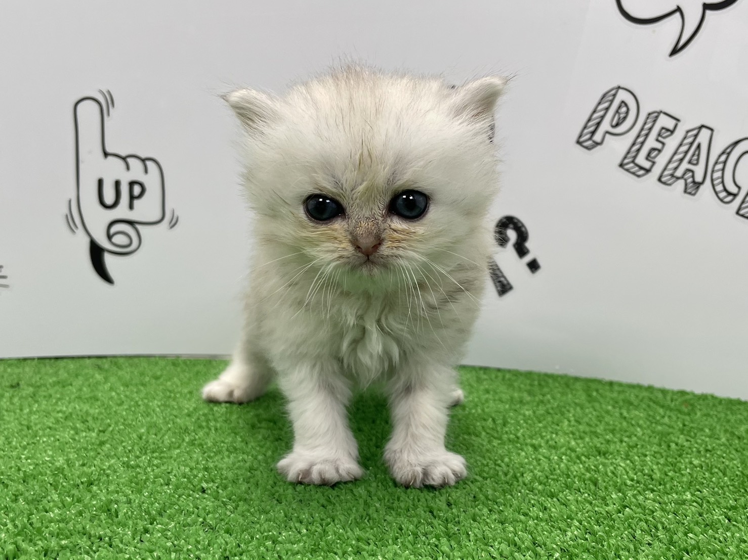 赤ちゃん写真2-1
