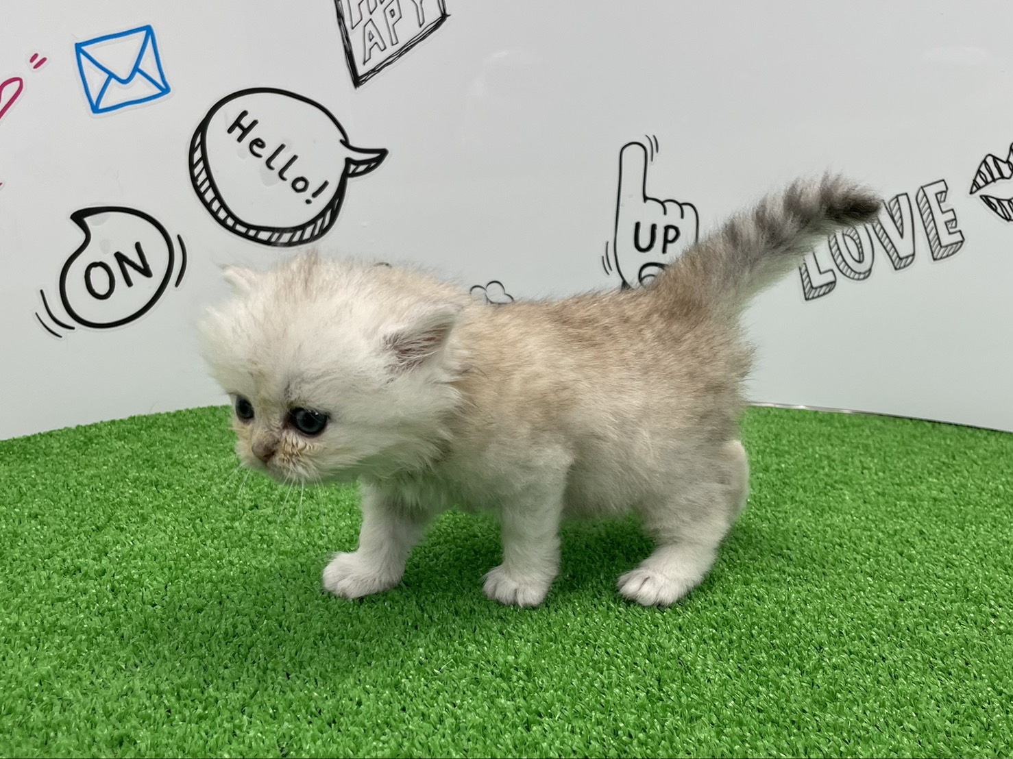 赤ちゃん写真2-2