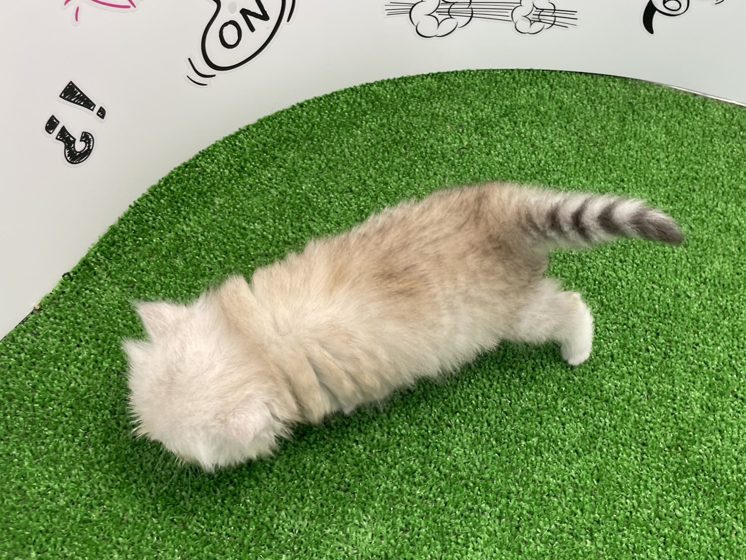 赤ちゃん写真2-3
