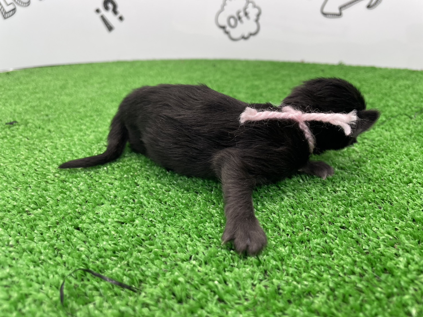 赤ちゃん写真1-2