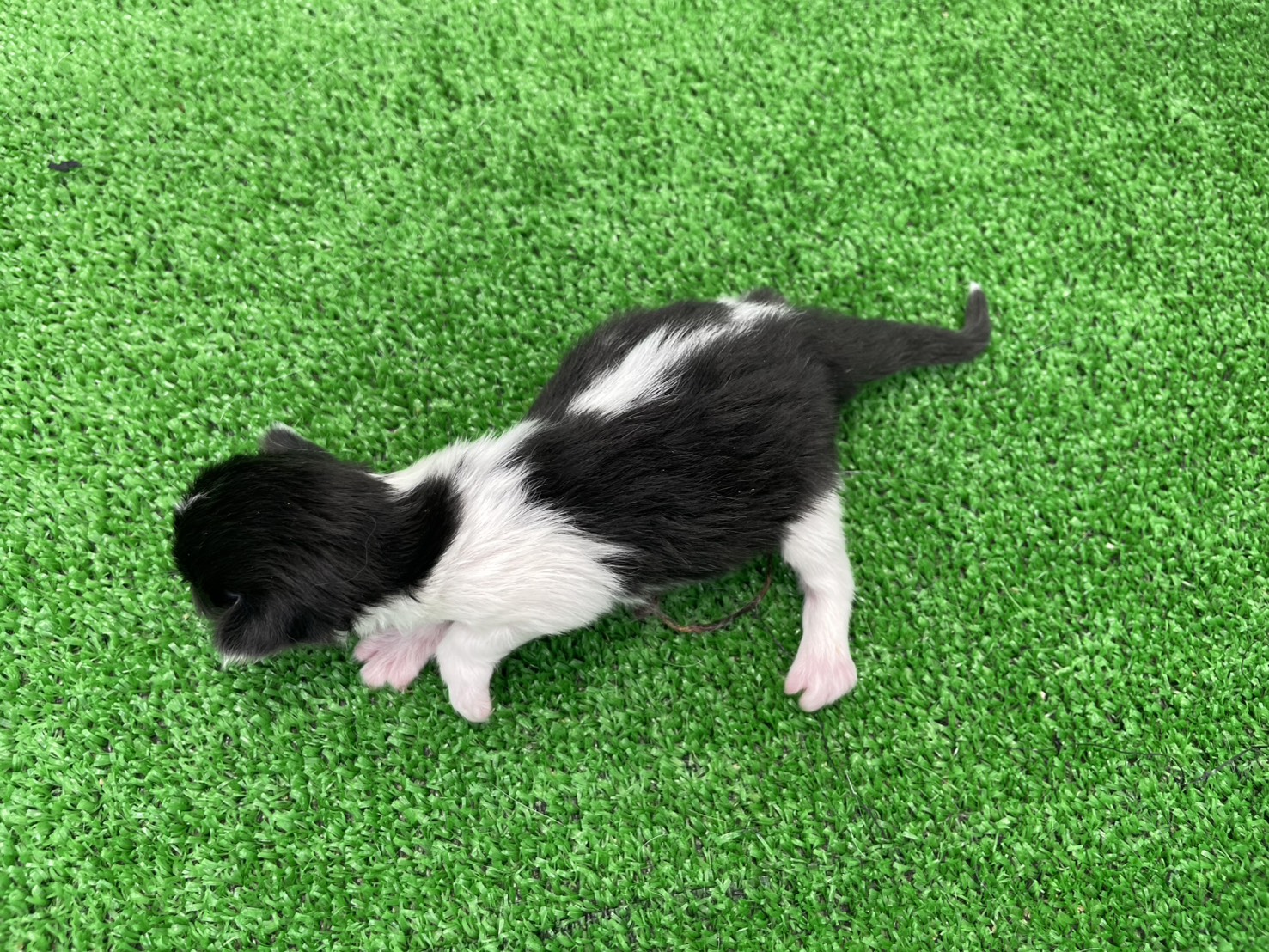 赤ちゃん写真1-3
