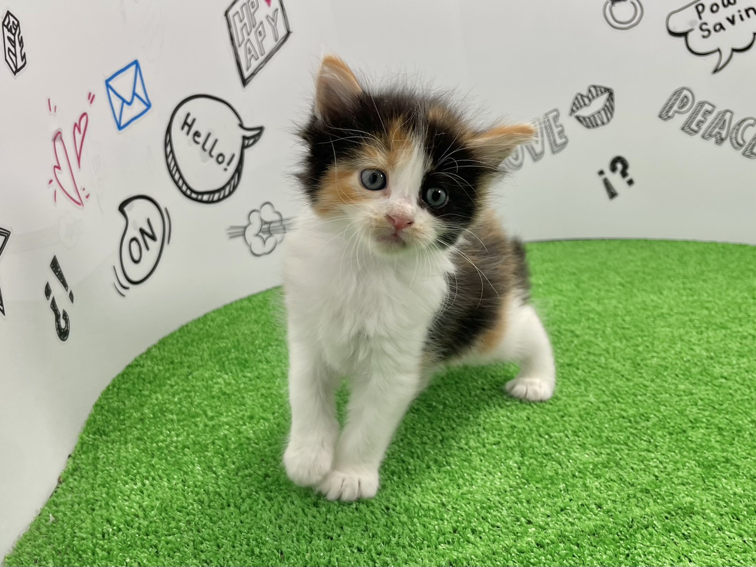 赤ちゃん写真2-1