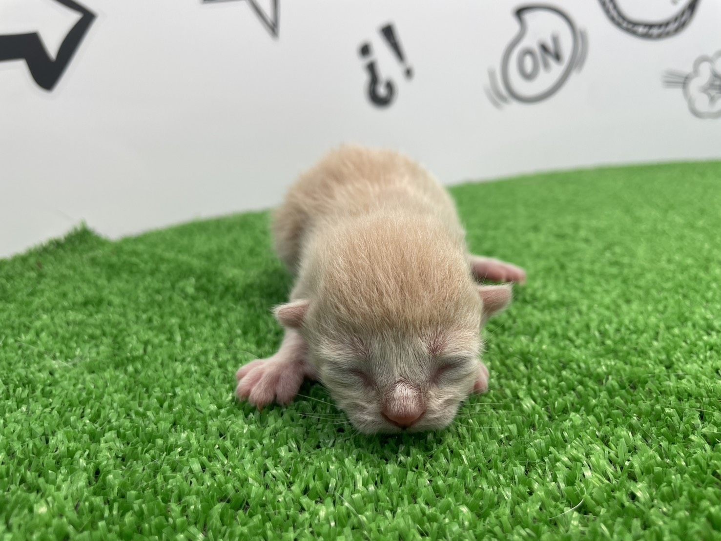 赤ちゃん写真1-1