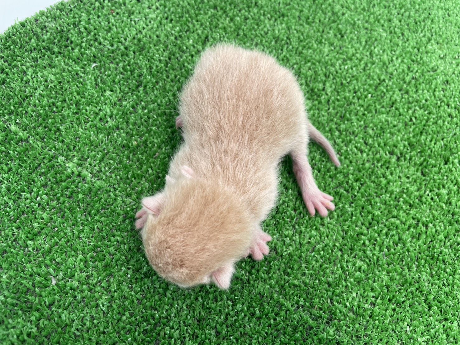 赤ちゃん写真1-3