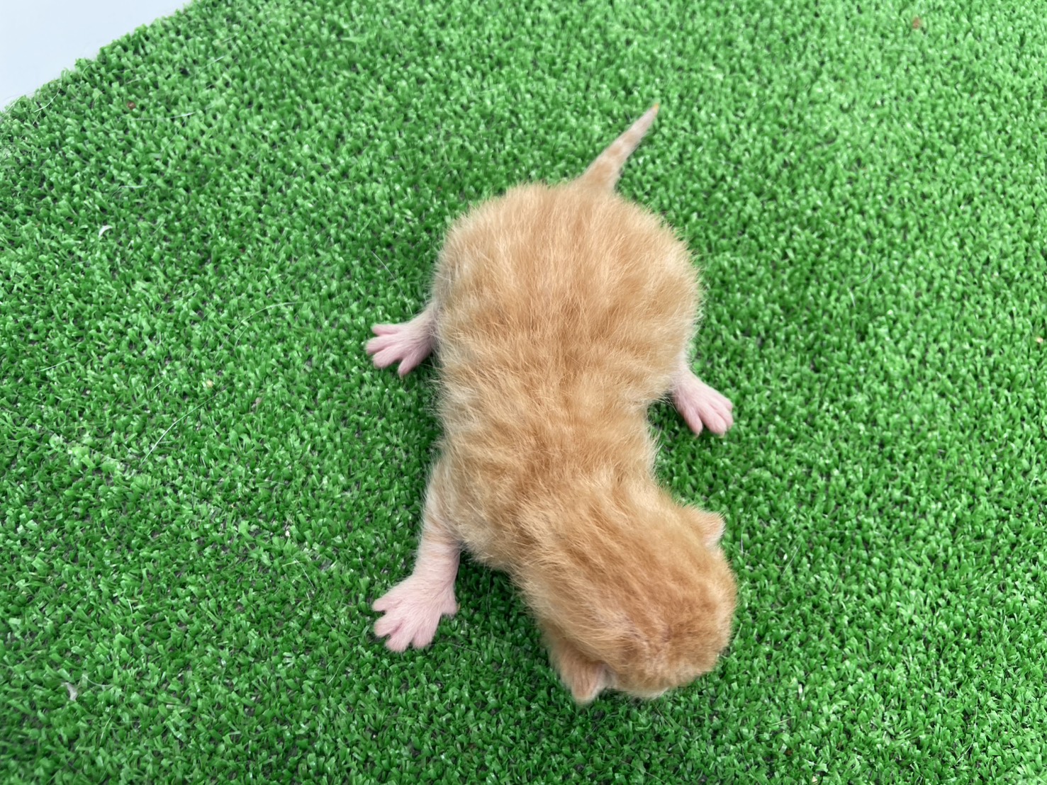 赤ちゃん写真1-3