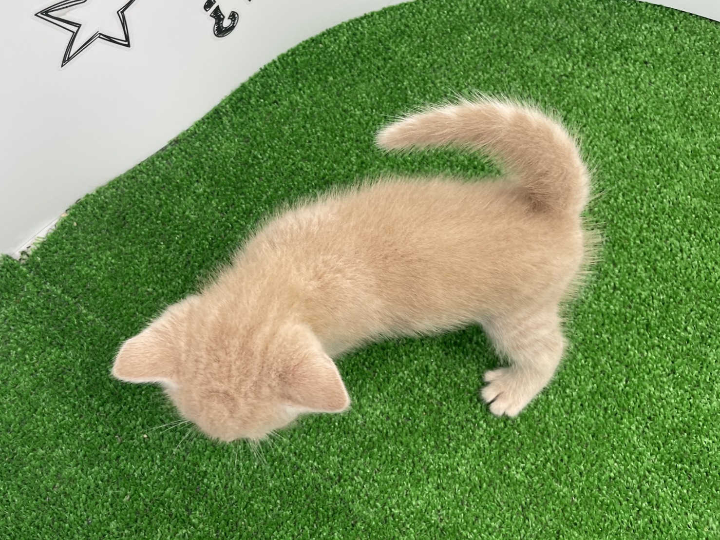 赤ちゃん写真2-3