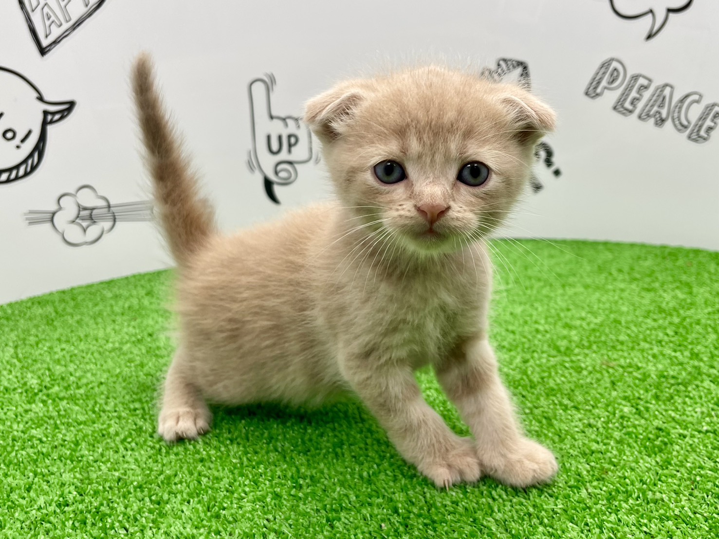 赤ちゃん写真2-1