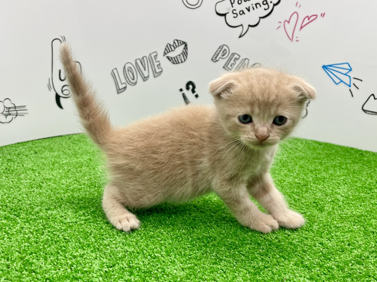 赤ちゃん写真2-2