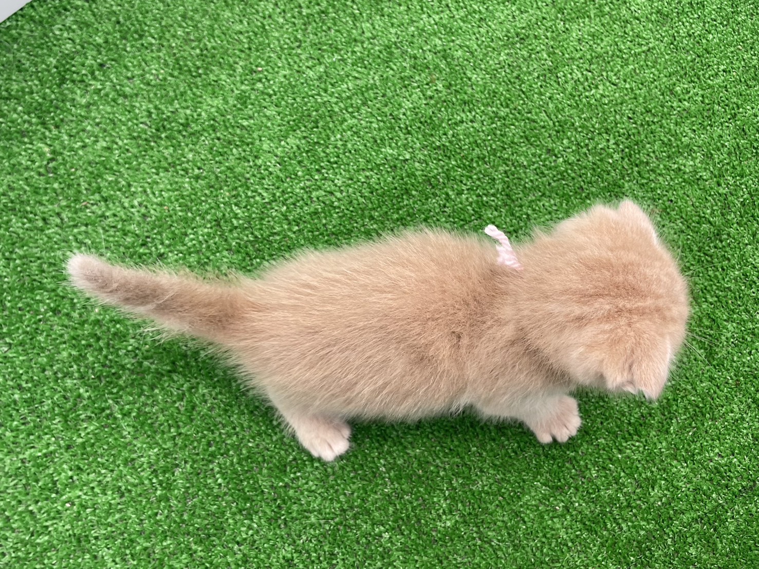 赤ちゃん写真2-3