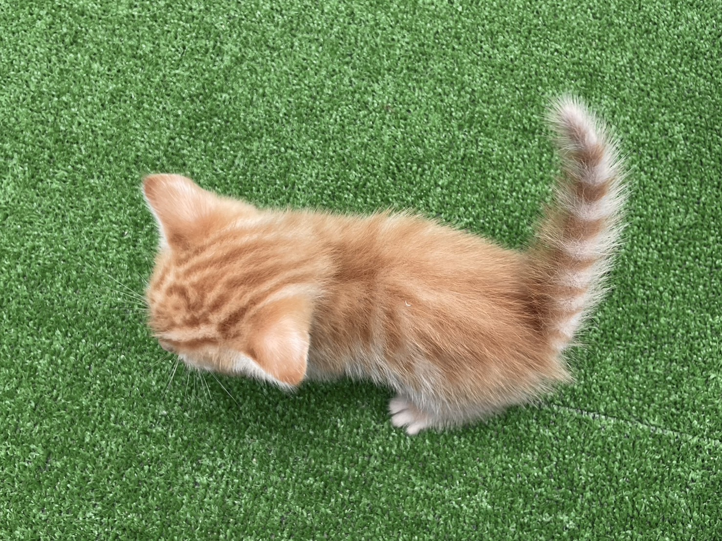 赤ちゃん写真2-3