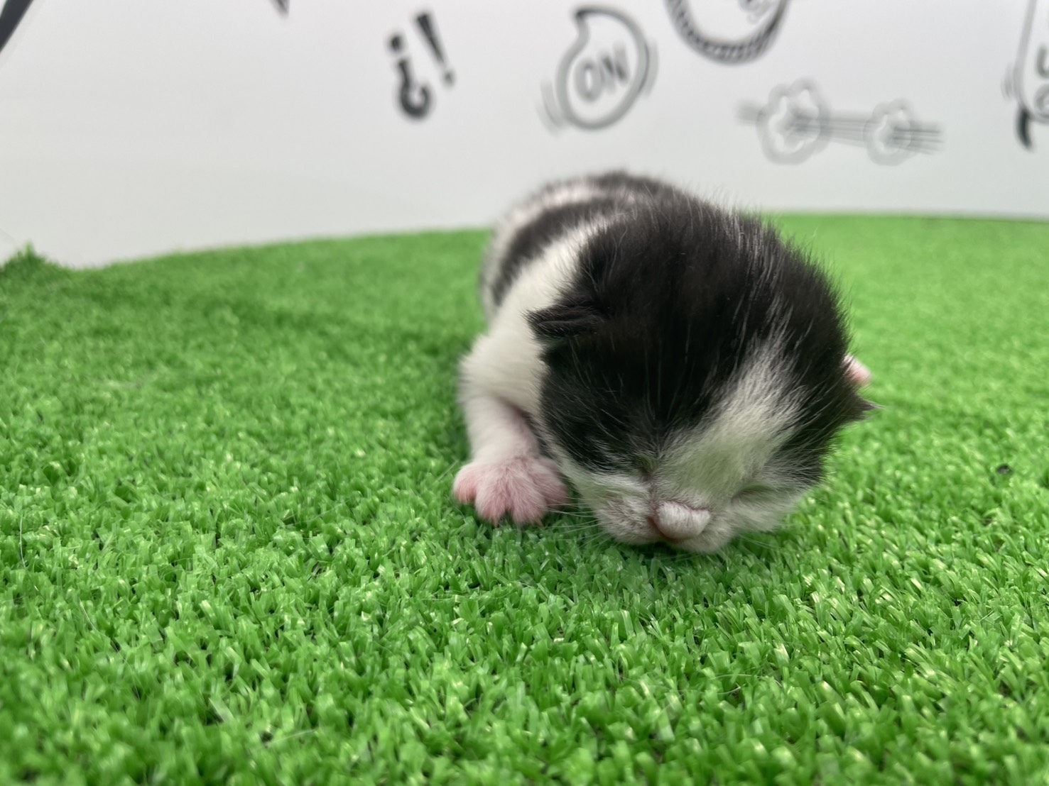 赤ちゃん写真1-1