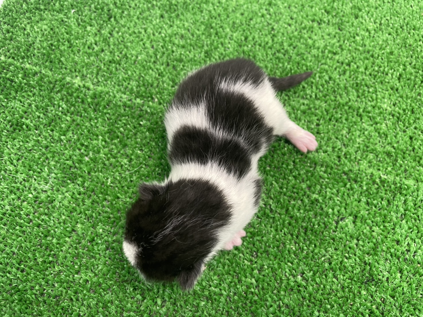 赤ちゃん写真1-3