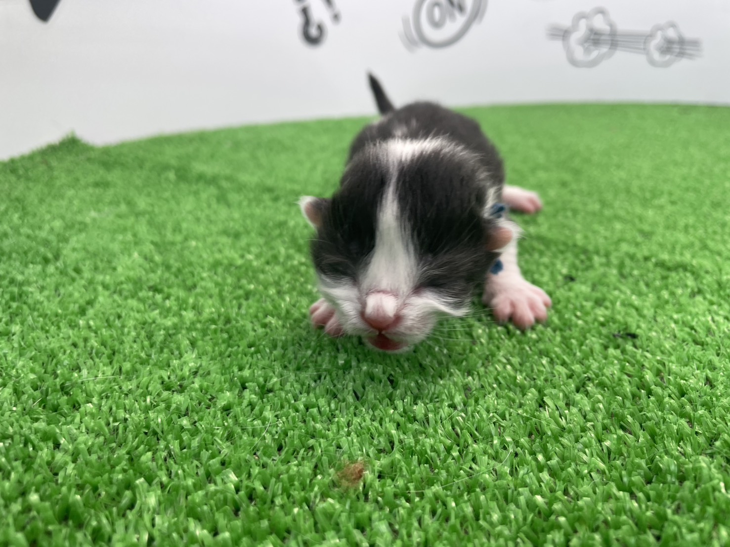 赤ちゃん写真1-1