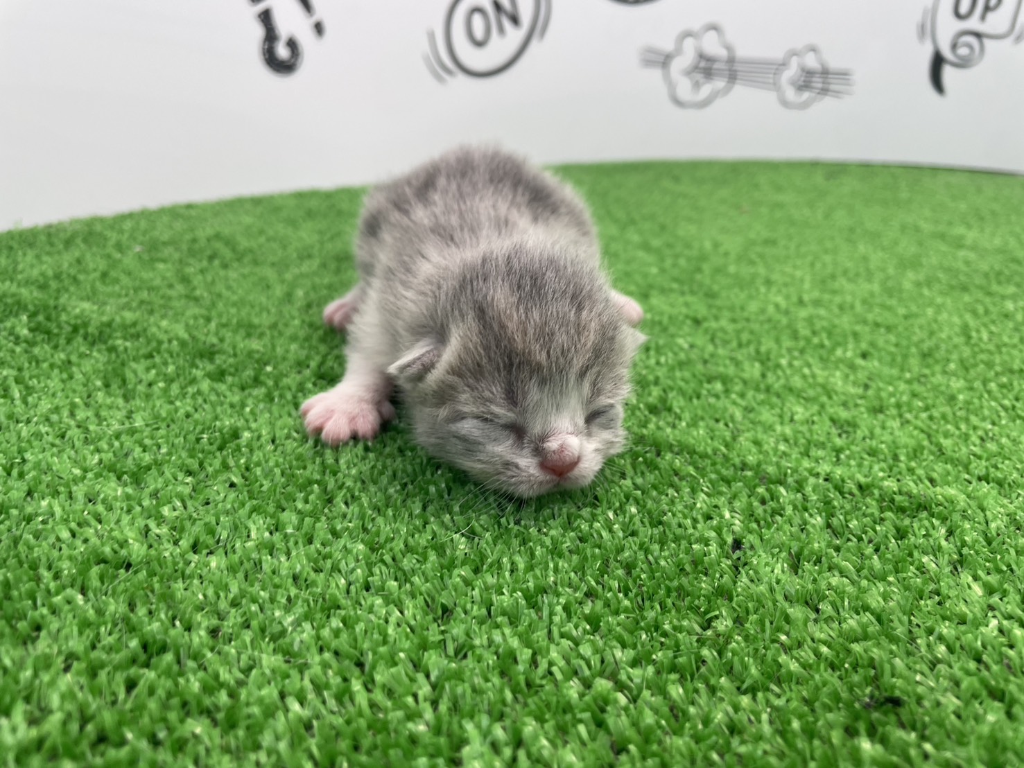赤ちゃん写真1-1