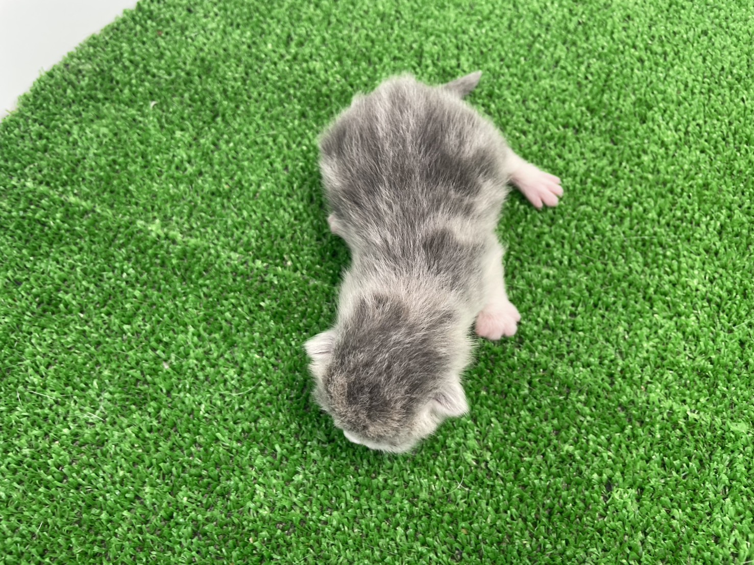 赤ちゃん写真1-3