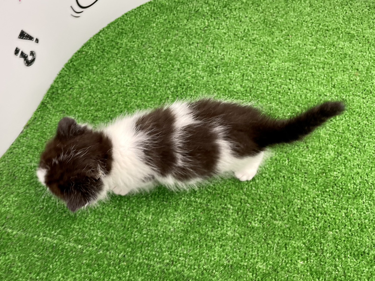 赤ちゃん写真2-3