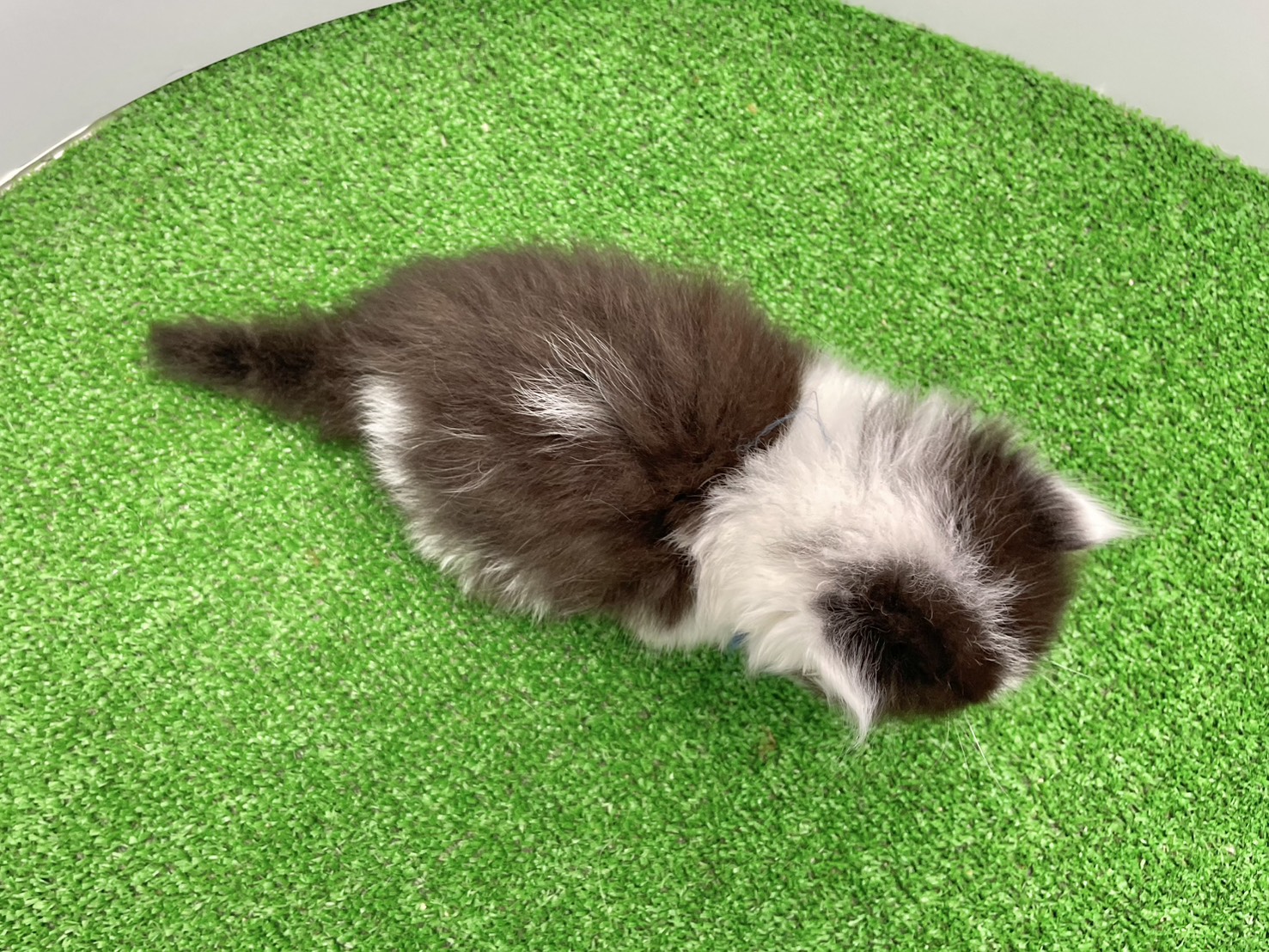 赤ちゃん写真2-3