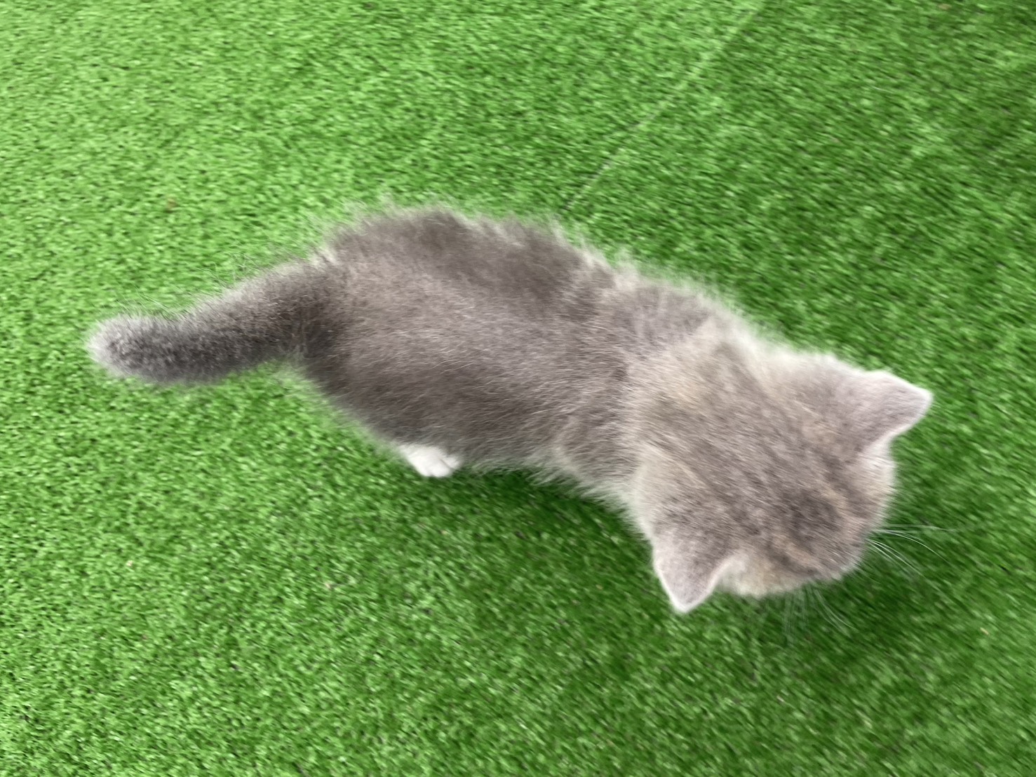 赤ちゃん写真2-3