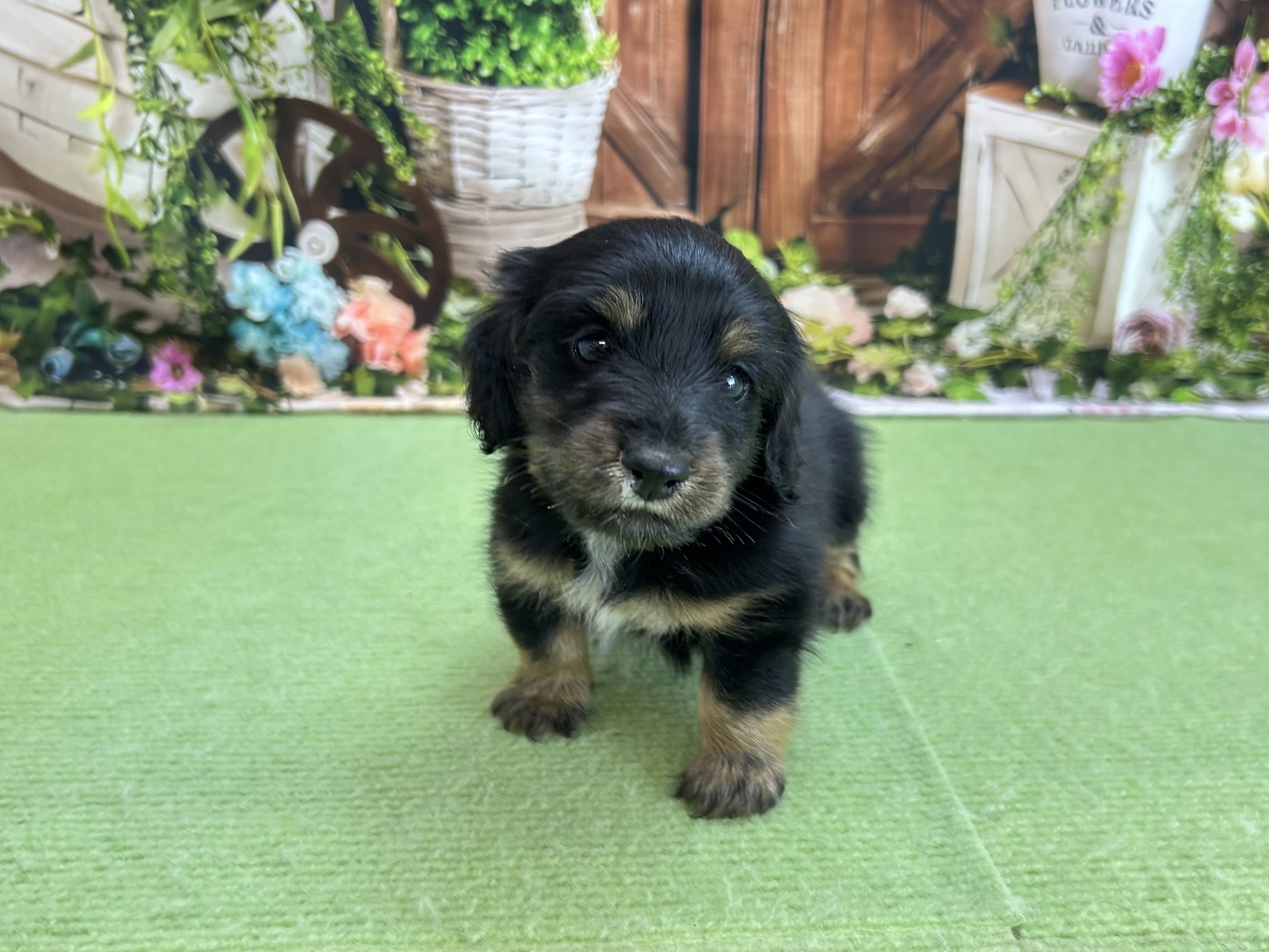 赤ちゃん写真2-1