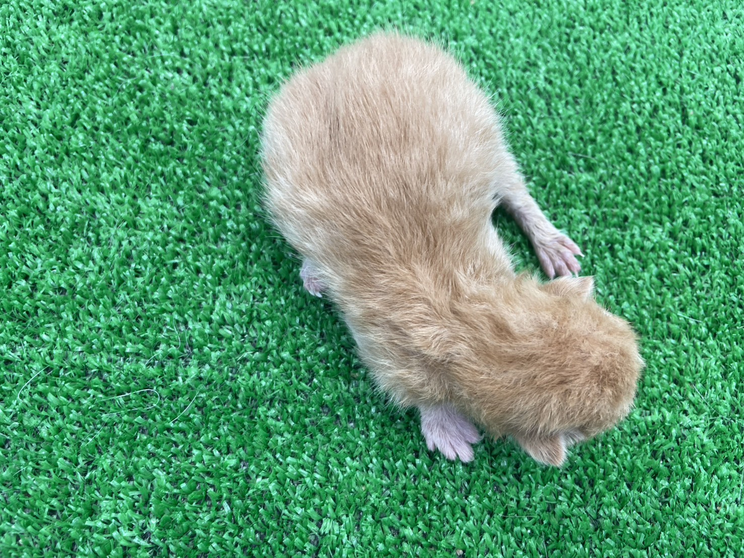 赤ちゃん写真1-3