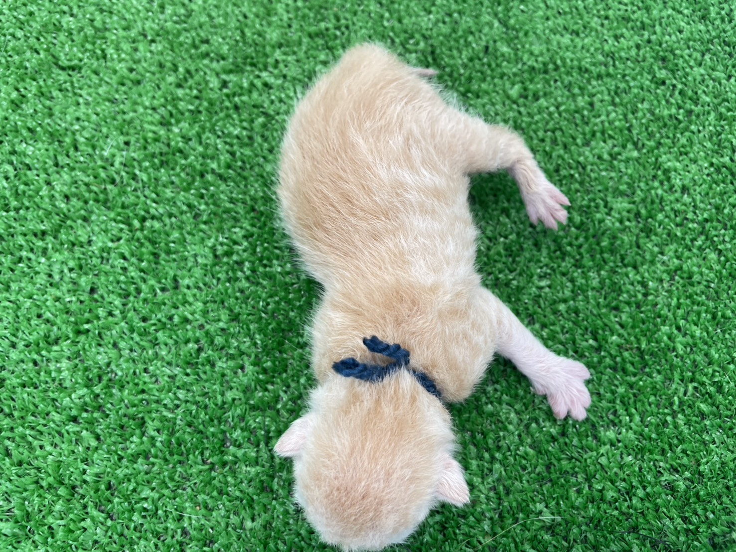 赤ちゃん写真1-3