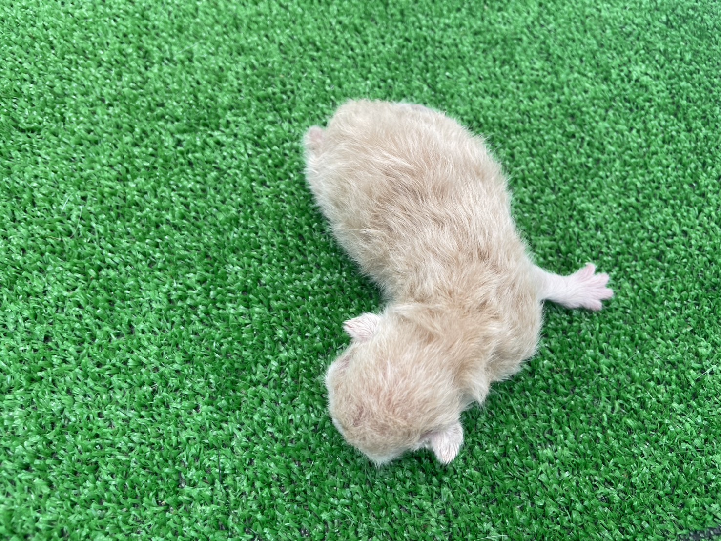 赤ちゃん写真1-3