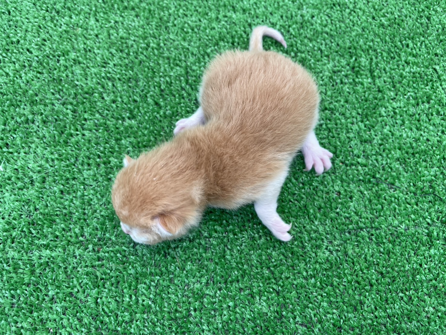 赤ちゃん写真1-3