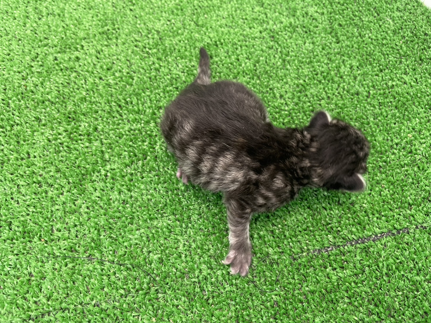 赤ちゃん写真1-3