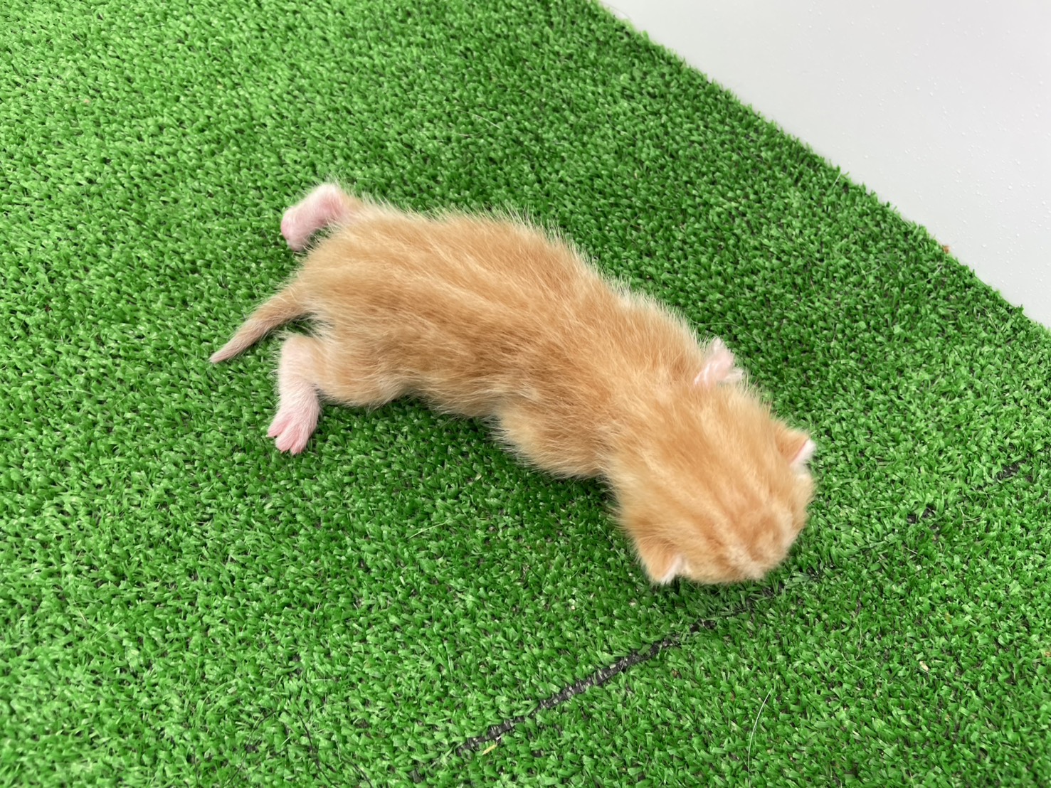 赤ちゃん写真1-3