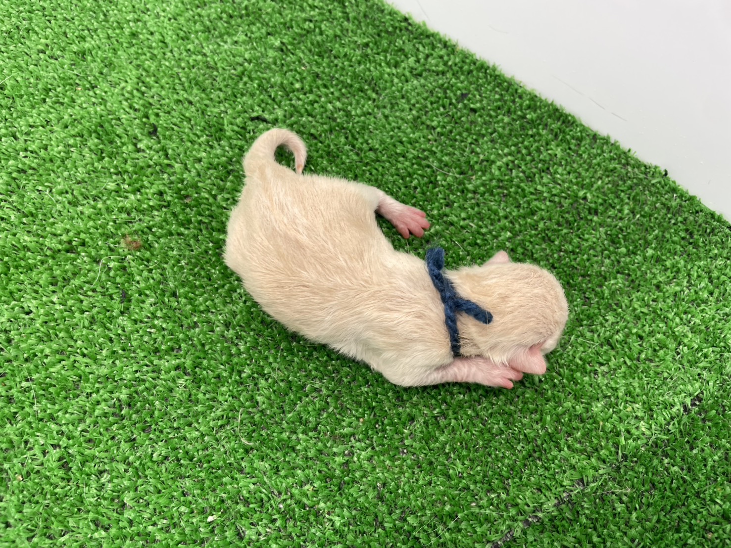 赤ちゃん写真1-3