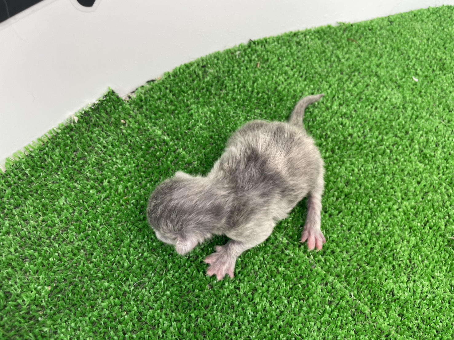 赤ちゃん写真1-3