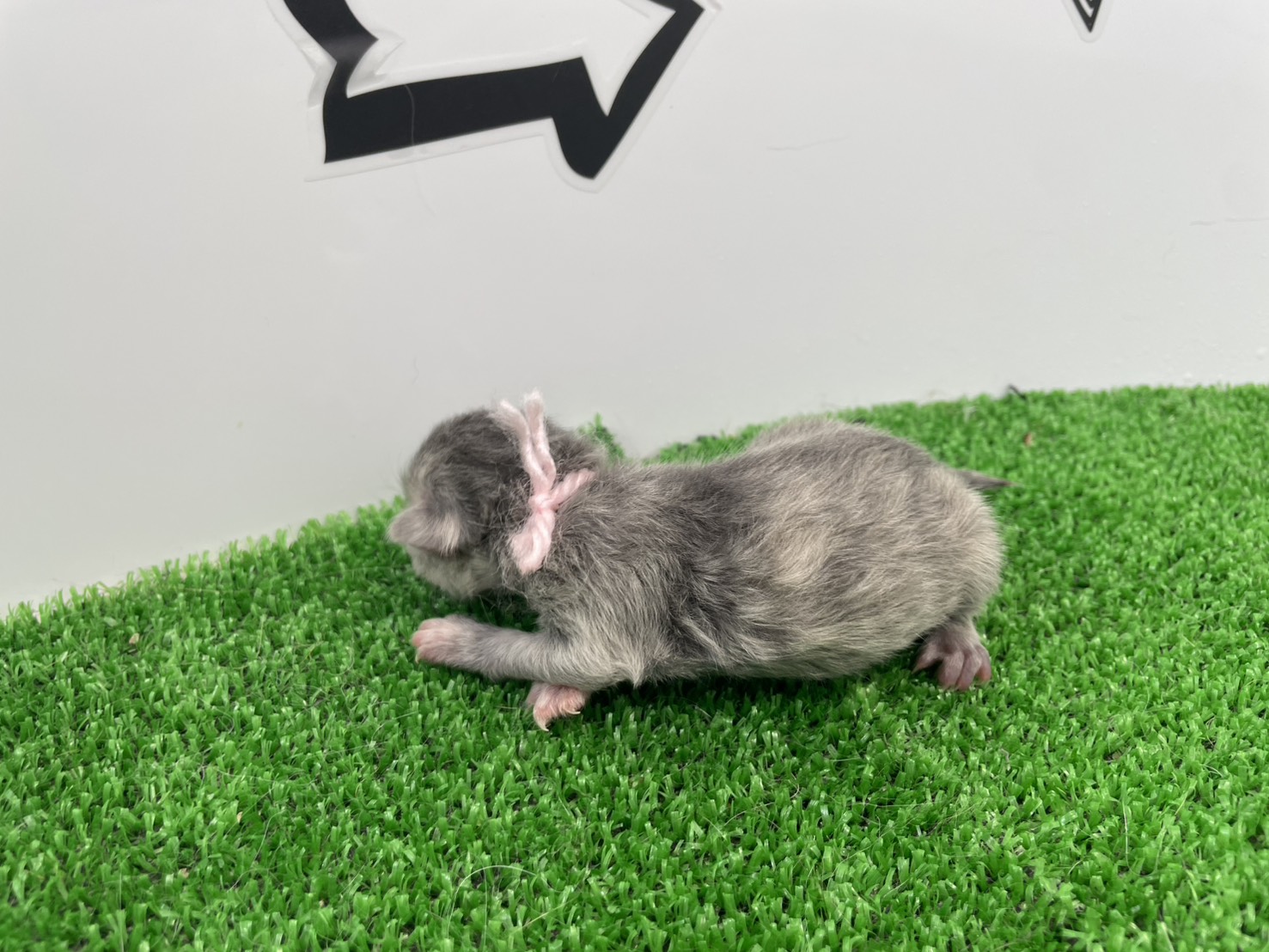 赤ちゃん写真1-2
