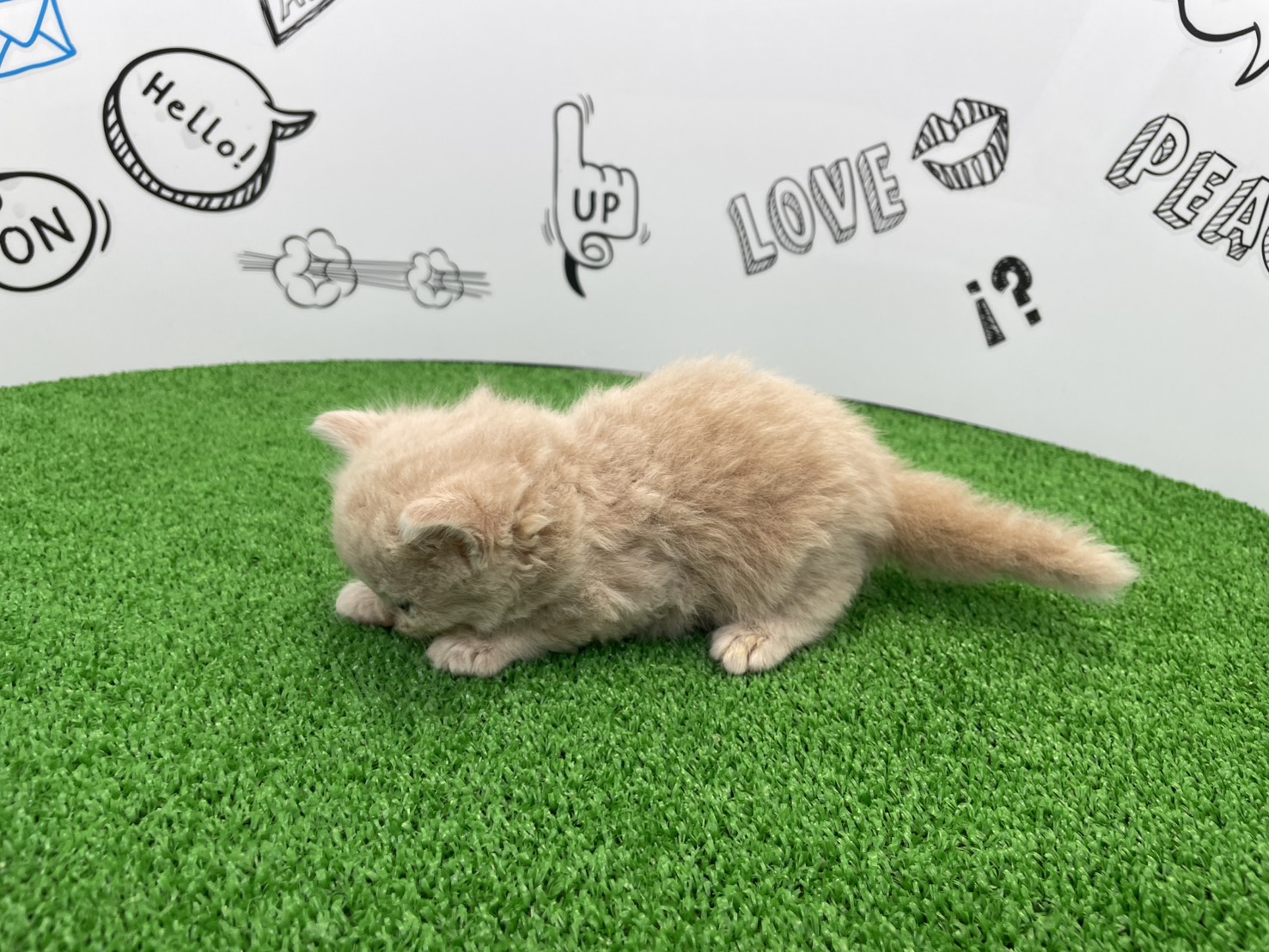 赤ちゃん写真2-2