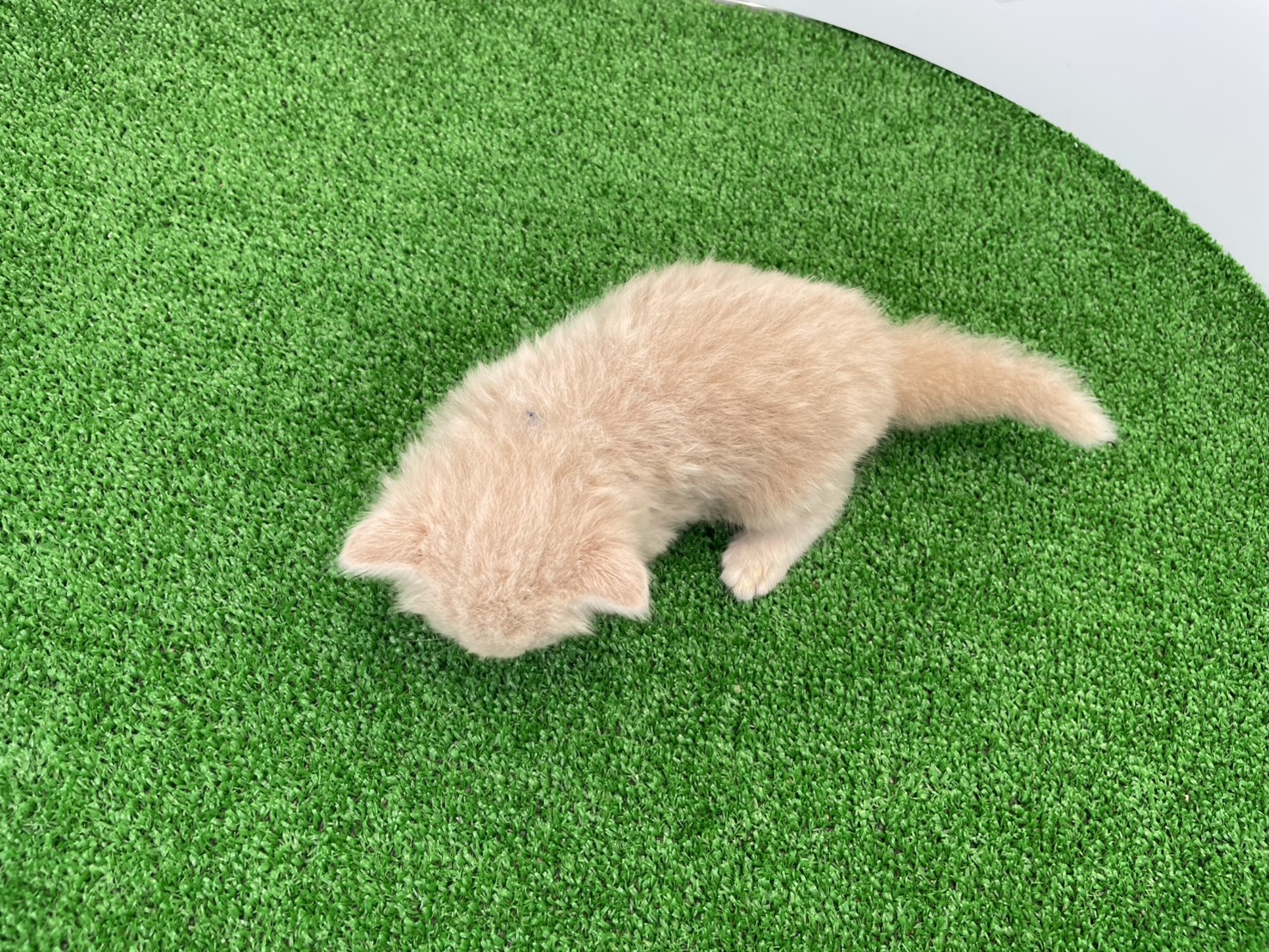 赤ちゃん写真2-3