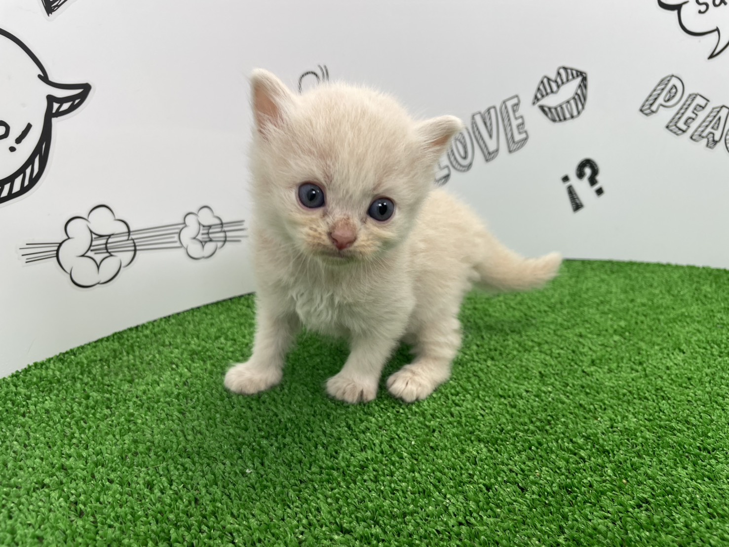 赤ちゃん写真2-1