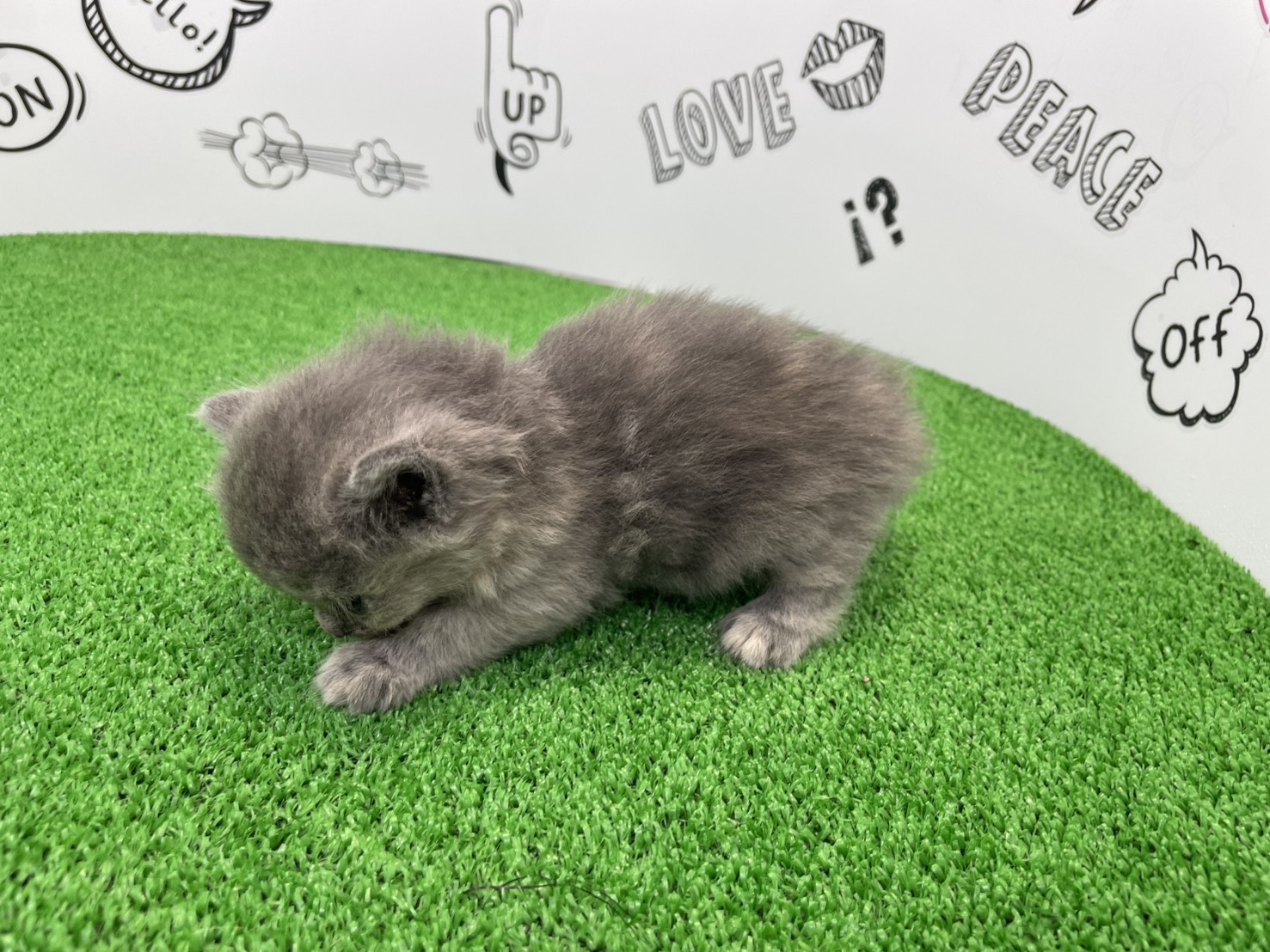 赤ちゃん写真2-2