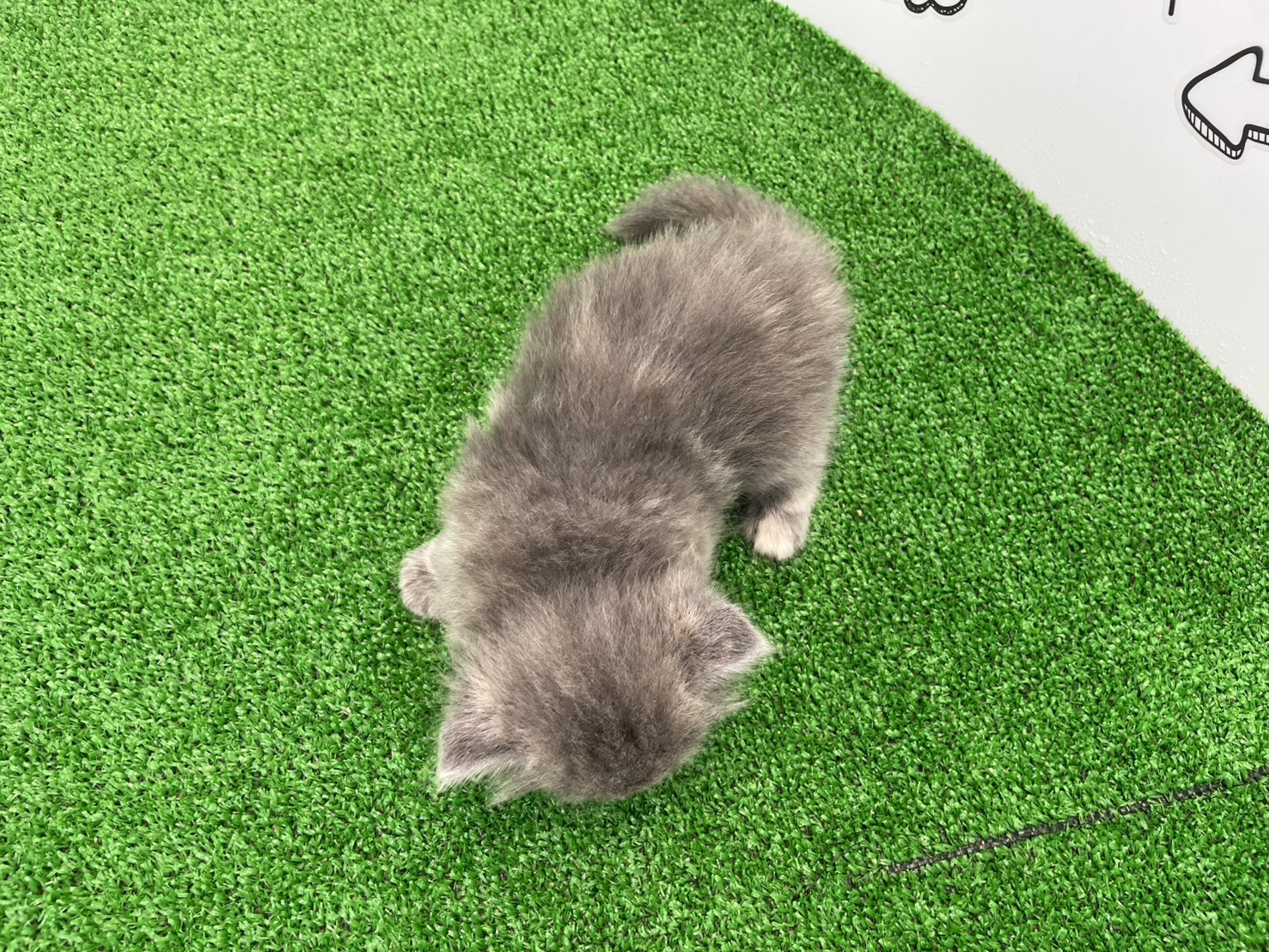 赤ちゃん写真2-3