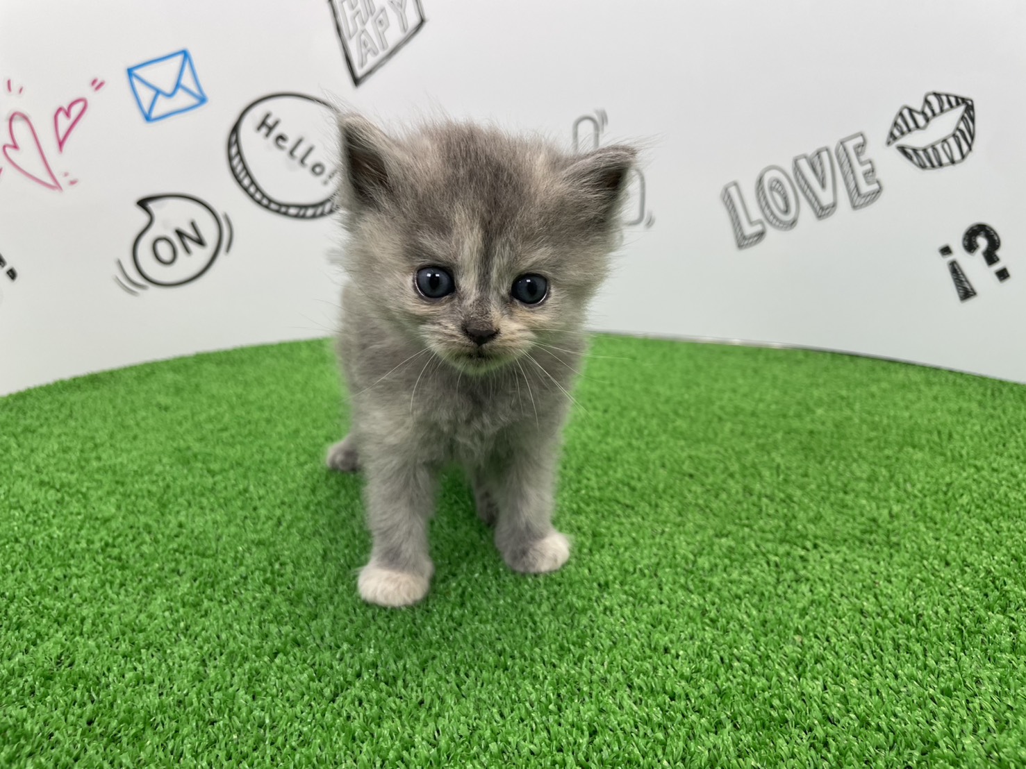 赤ちゃん写真2-1