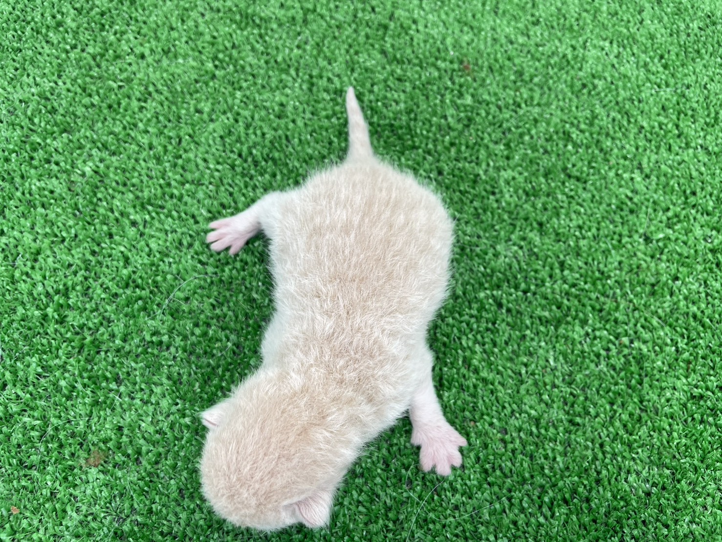 赤ちゃん写真1-3