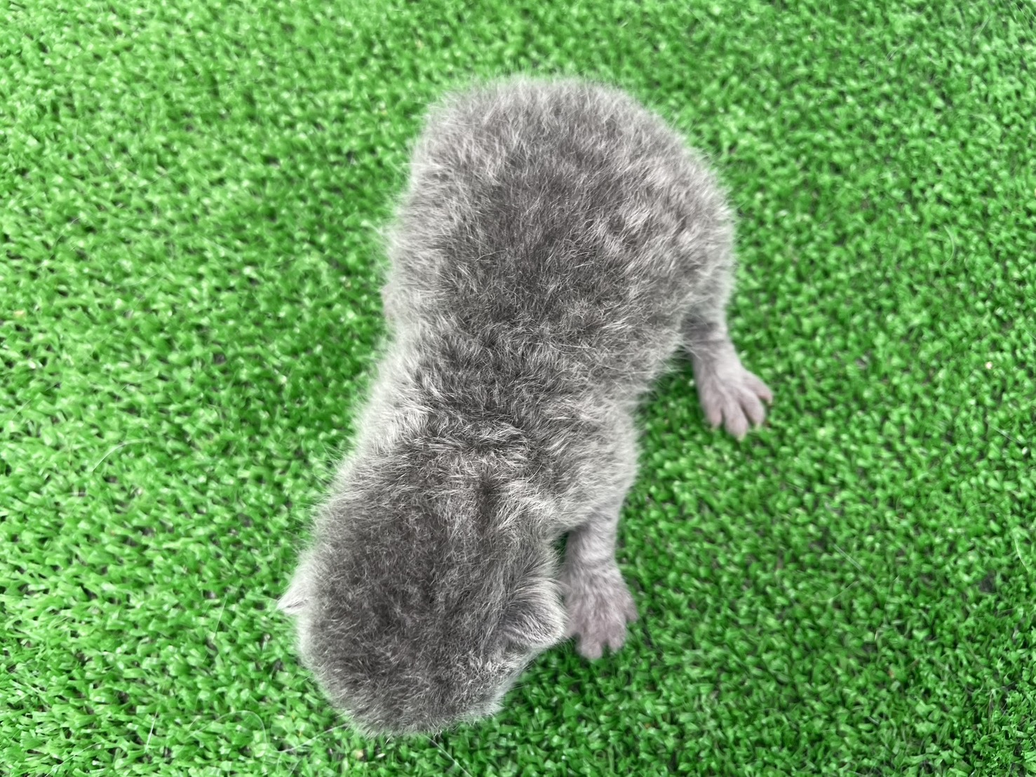 赤ちゃん写真1-3
