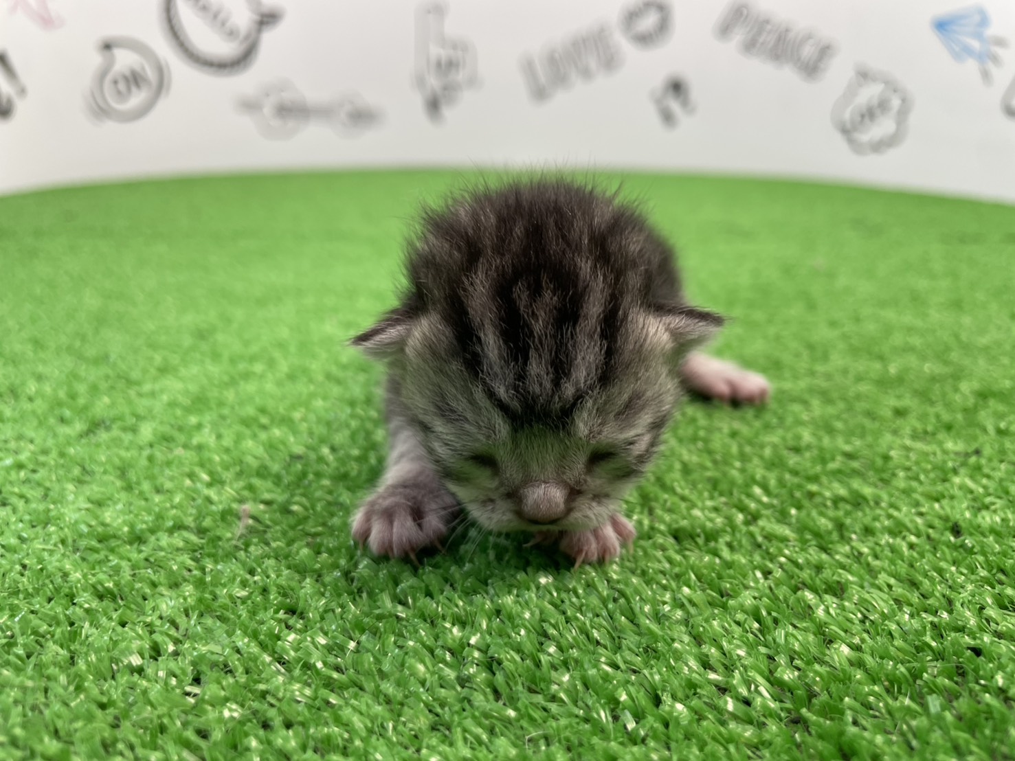 赤ちゃん写真1-1