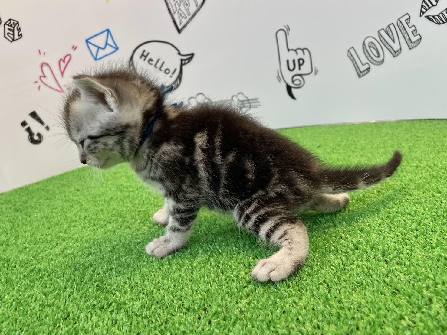 赤ちゃん写真2-2