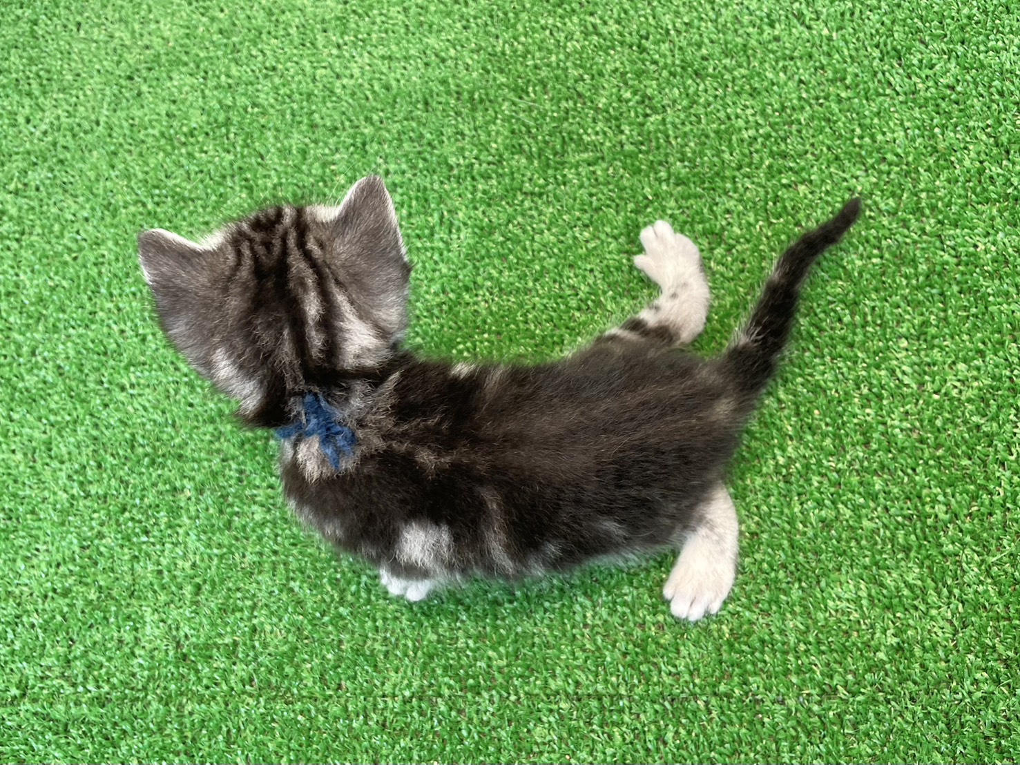 赤ちゃん写真2-3
