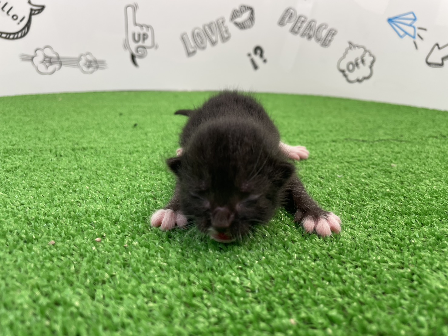 赤ちゃん写真1-1