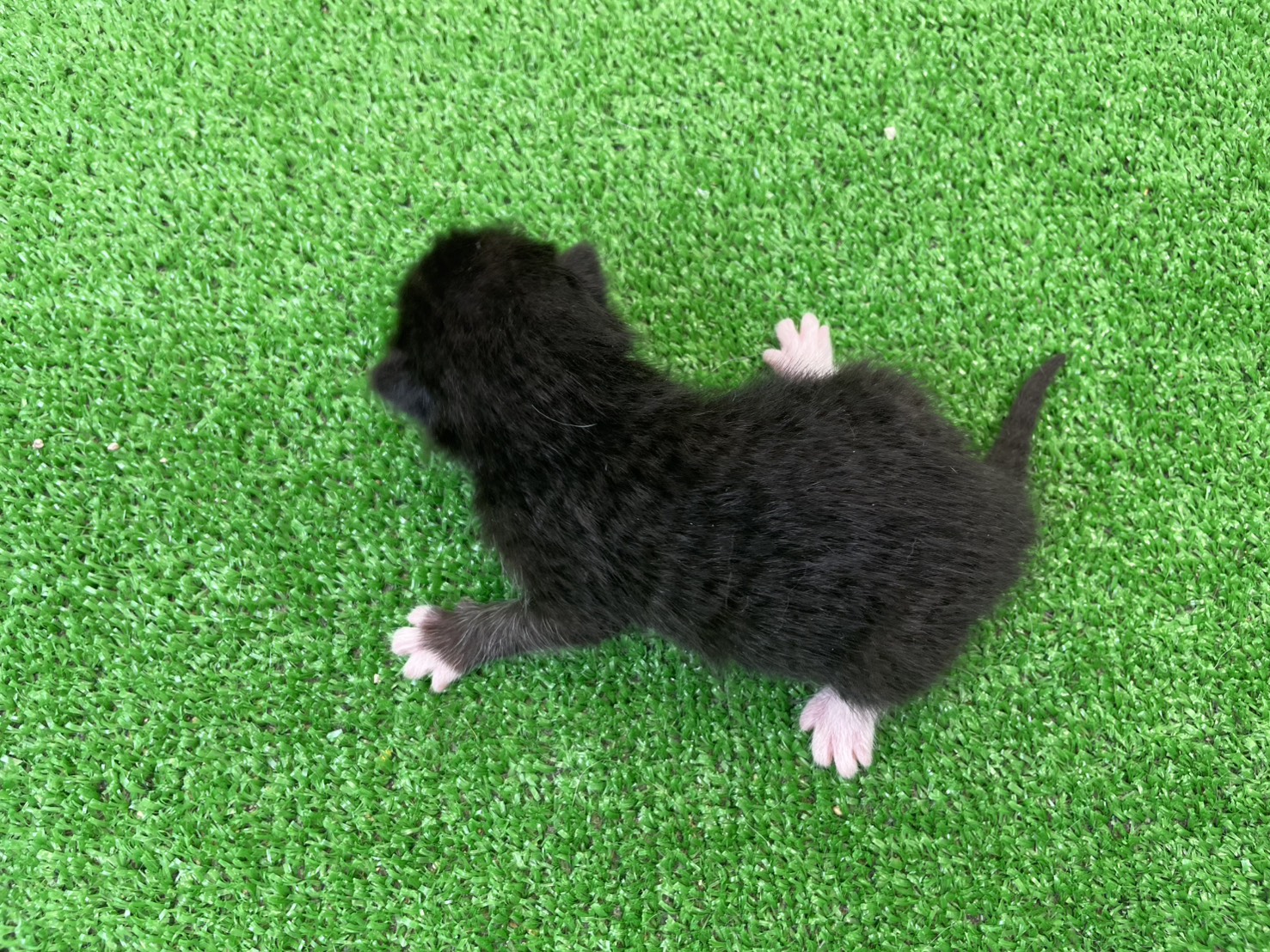 赤ちゃん写真1-3
