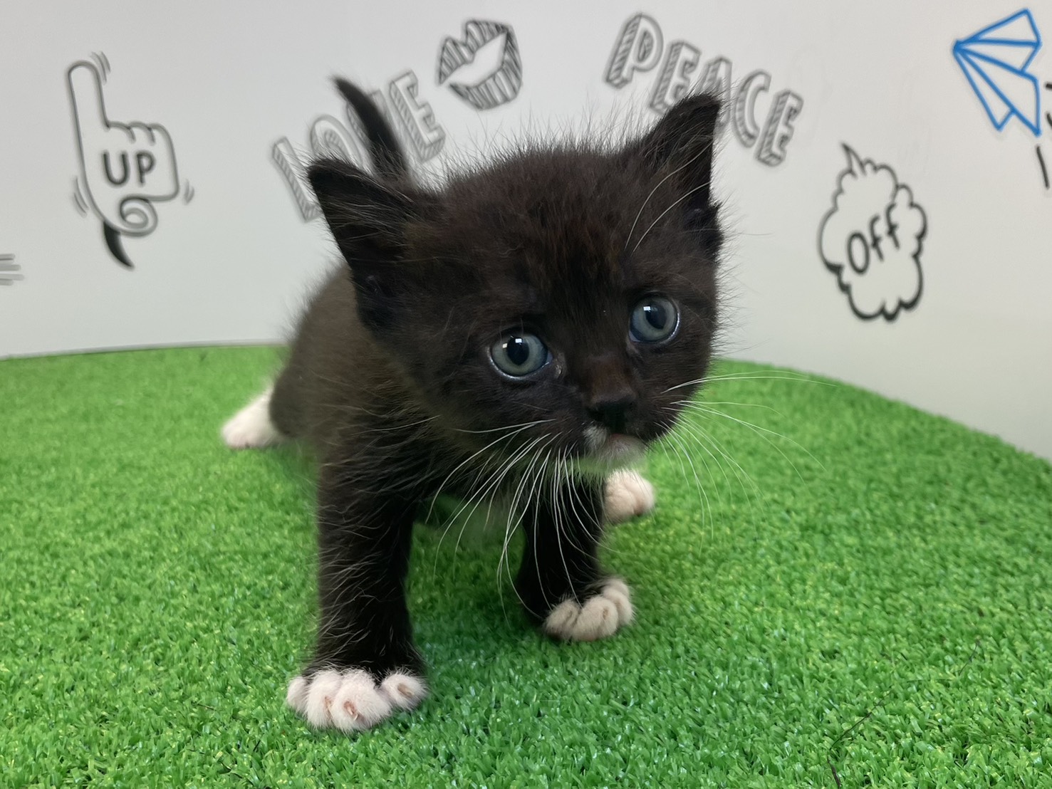 赤ちゃん写真2-1