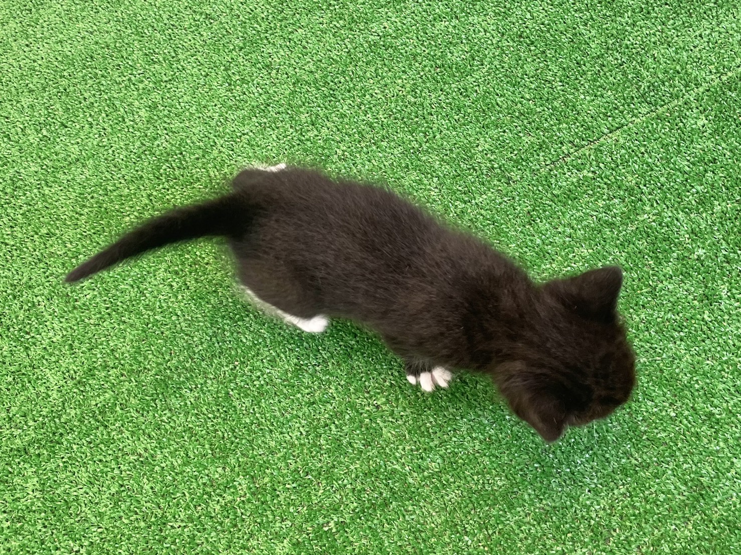 赤ちゃん写真2-3