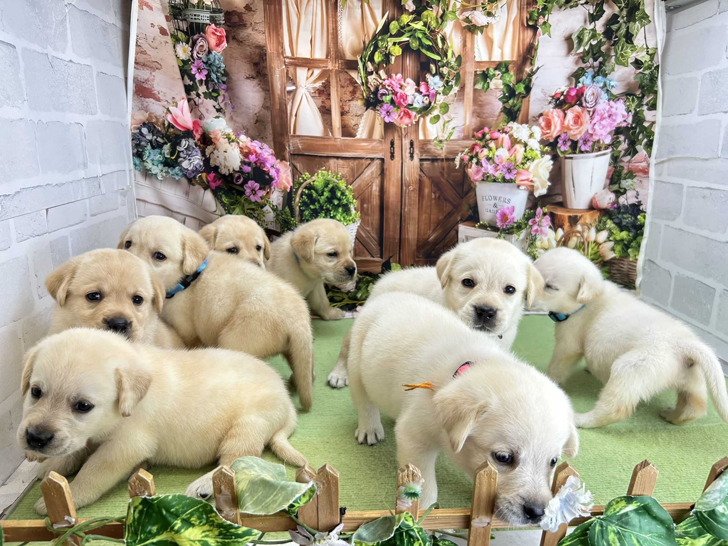 赤ちゃん写真2-3