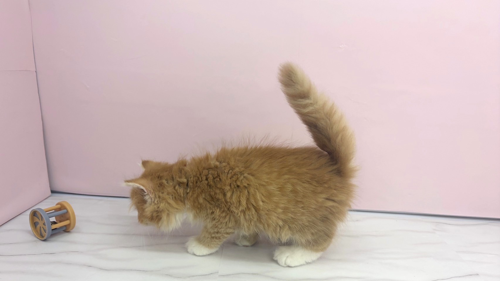 赤ちゃん写真2-2