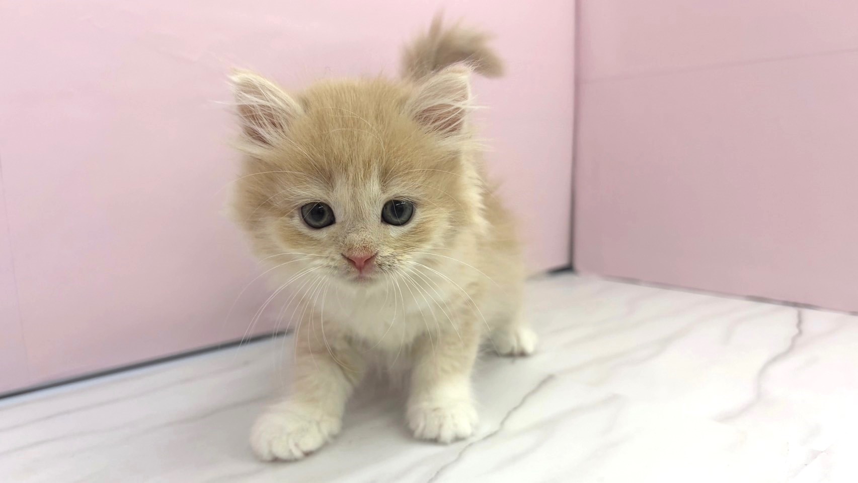 赤ちゃん写真2-1